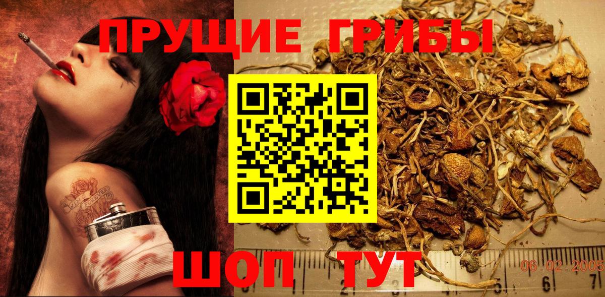 наркота  Вход с VPN  Трёхгорный  Псилоцибиновые грибы мухоморы 